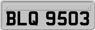 BLQ9503