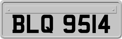 BLQ9514