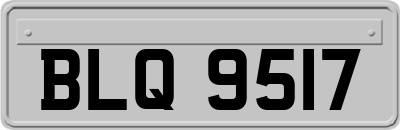 BLQ9517