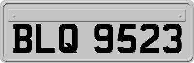 BLQ9523