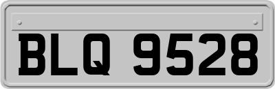 BLQ9528