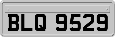 BLQ9529