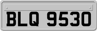 BLQ9530