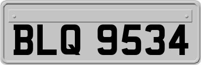 BLQ9534