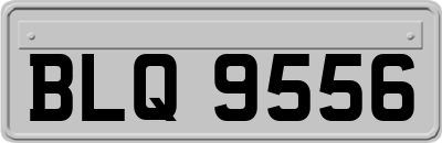 BLQ9556
