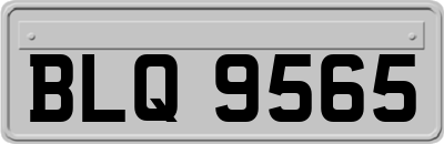 BLQ9565