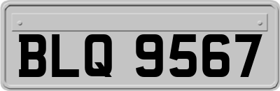 BLQ9567