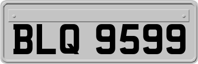 BLQ9599