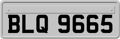 BLQ9665
