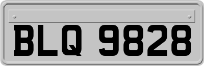 BLQ9828