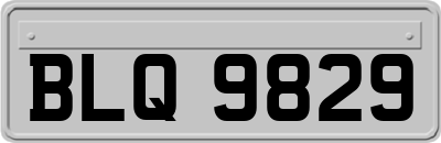 BLQ9829