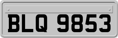 BLQ9853