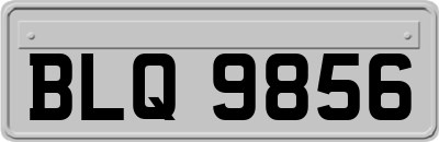 BLQ9856