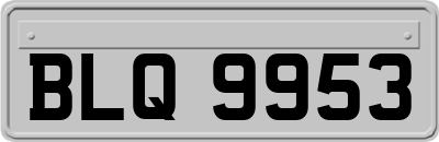 BLQ9953