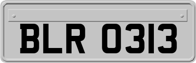 BLR0313