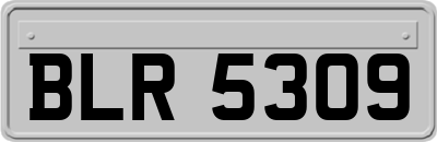 BLR5309