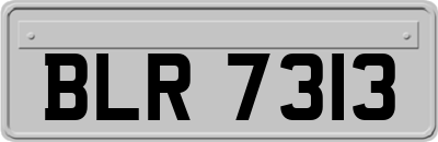 BLR7313