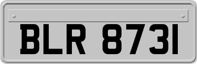 BLR8731