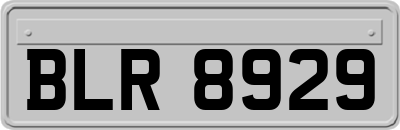 BLR8929
