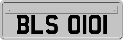 BLS0101