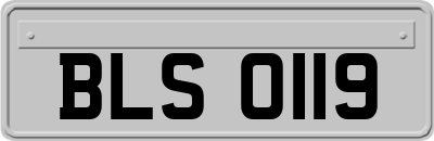 BLS0119