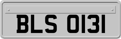 BLS0131