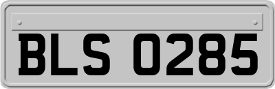 BLS0285