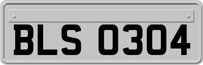 BLS0304