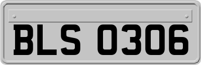 BLS0306