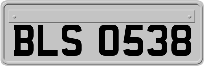 BLS0538