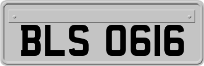 BLS0616