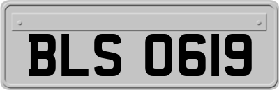 BLS0619