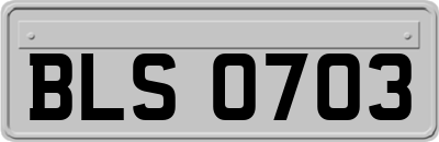 BLS0703