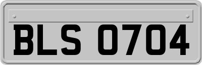 BLS0704