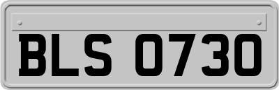 BLS0730