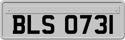 BLS0731