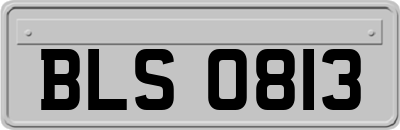 BLS0813