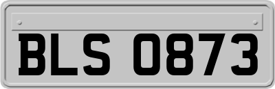 BLS0873