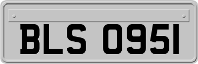 BLS0951