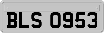 BLS0953