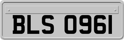 BLS0961