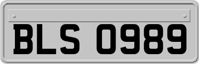 BLS0989