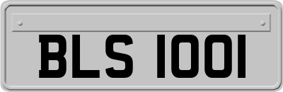 BLS1001