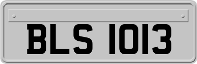 BLS1013