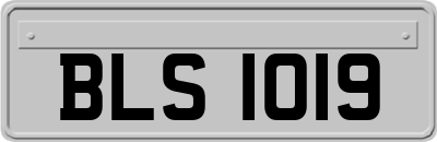 BLS1019