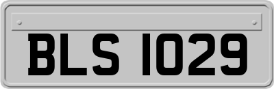 BLS1029