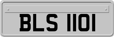 BLS1101