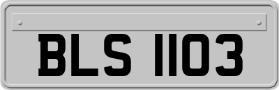 BLS1103