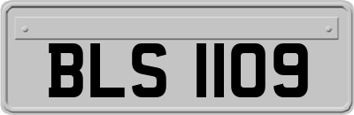 BLS1109