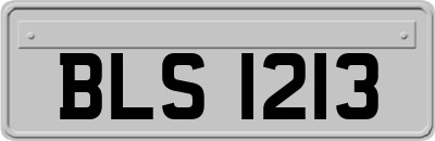 BLS1213